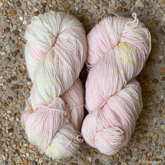 Dogwood — Hand Dyed Merino/Silk Yarn