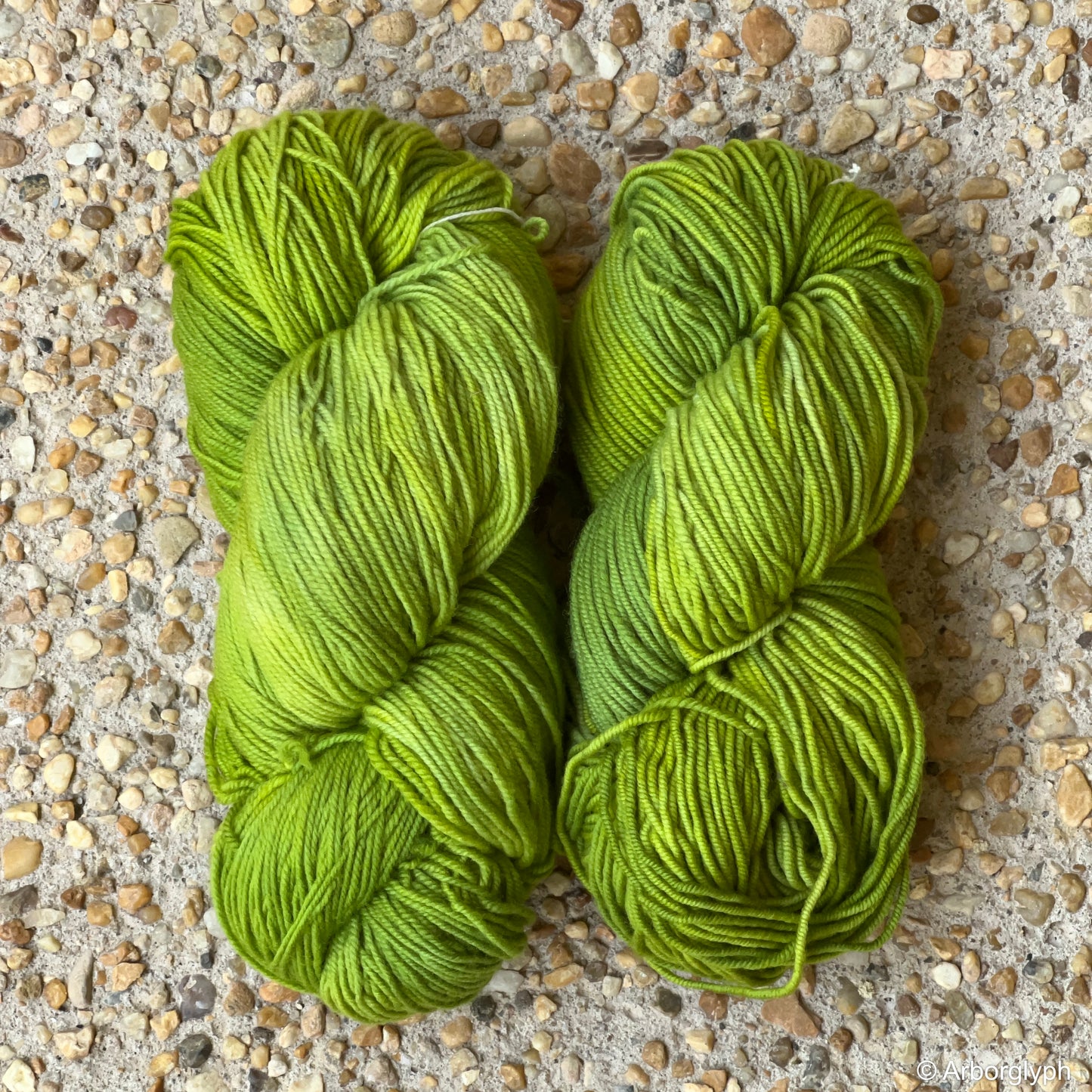 Hosta — Hand Dyed Merino Yarn
