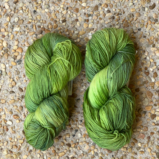 Hosta — Hand Dyed Merino/Silk Yarn